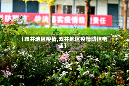 【双井地区疫情,双井地区疫情防控电话】-第3张图片