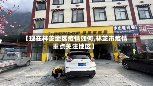 【现在林芝地区疫情如何,林芝市疫情重点关注地区】-第3张图片