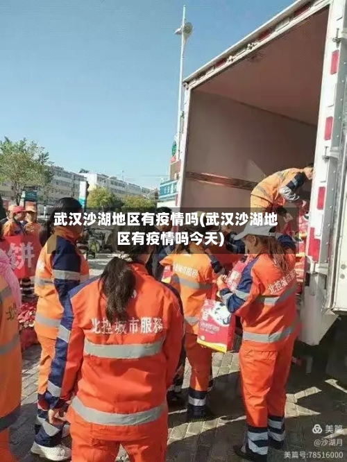 武汉沙湖地区有疫情吗(武汉沙湖地区有疫情吗今天)