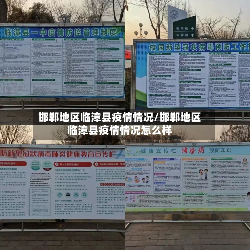 邯郸地区临漳县疫情情况/邯郸地区临漳县疫情情况怎么样-第3张图片