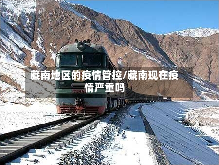 藏南地区的疫情管控/藏南现在疫情严重吗