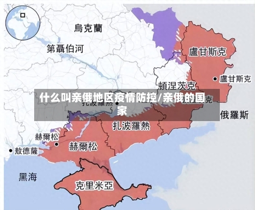 什么叫亲俄地区疫情防控/亲俄的国家-第3张图片