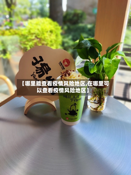 【哪里能查看疫情风险地区,在哪里可以查看疫情风险地区】