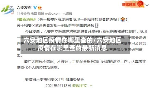 六安地区疫情在哪里查的/六安地区疫情在哪里查的最新消息-第2张图片