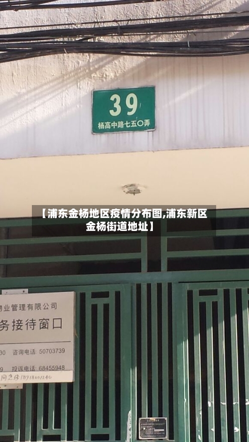 【浦东金杨地区疫情分布图,浦东新区金杨街道地址】-第2张图片