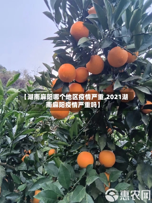 【湖南麻阳哪个地区疫情严重,2021湖南麻阳疫情严重吗】-第2张图片