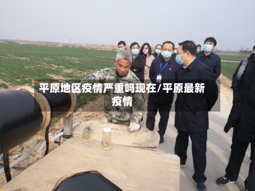 平原地区疫情严重吗现在/平原最新疫情-第3张图片