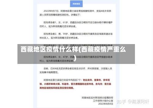 西藏地区疫情什么样(西藏疫情严重么)-第2张图片