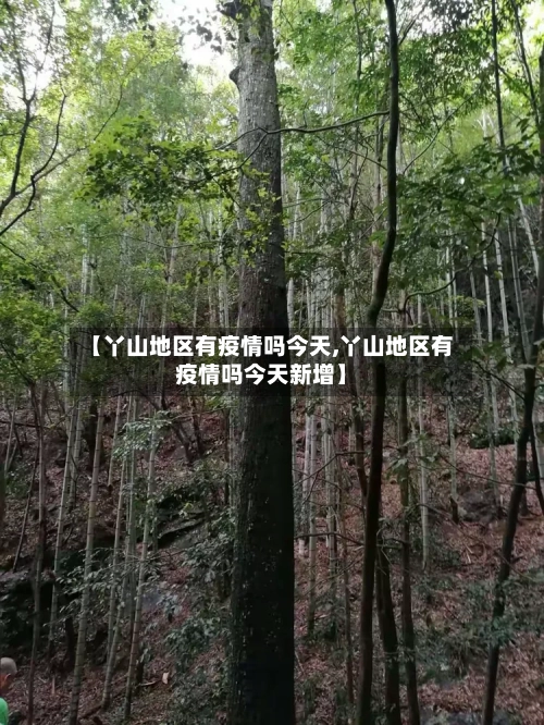 【丫山地区有疫情吗今天,丫山地区有疫情吗今天新增】-第3张图片