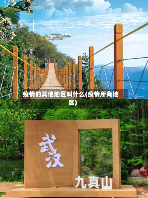 疫情的其他地区叫什么(疫情所有地区)