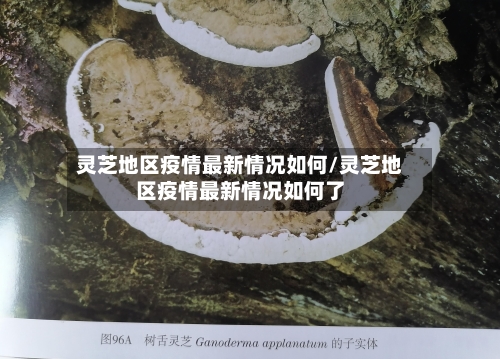 灵芝地区疫情最新情况如何/灵芝地区疫情最新情况如何了-第2张图片