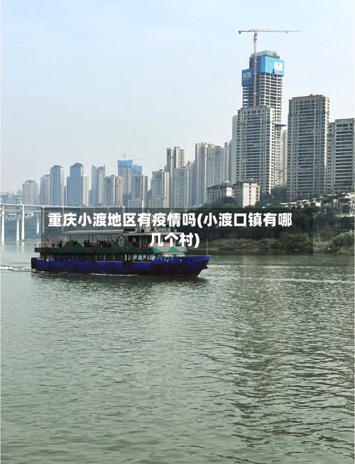 重庆小渡地区有疫情吗(小渡口镇有哪几个村)-第3张图片