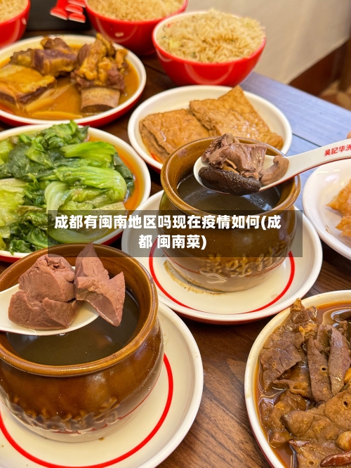成都有闽南地区吗现在疫情如何(成都 闽南菜)-第2张图片