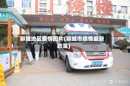 聊城地区疫情图片(聊城市疫情最新政策)-第2张图片