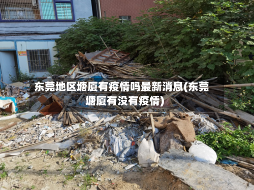 东莞地区塘厦有疫情吗最新消息(东莞塘厦有没有疫情)-第2张图片