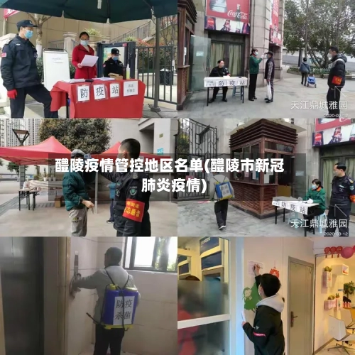 醴陵疫情管控地区名单(醴陵市新冠肺炎疫情)-第2张图片
