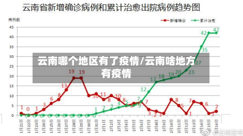 云南哪个地区有了疫情/云南啥地方有疫情-第3张图片