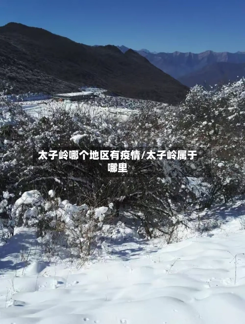 太子岭哪个地区有疫情/太子岭属于哪里-第3张图片