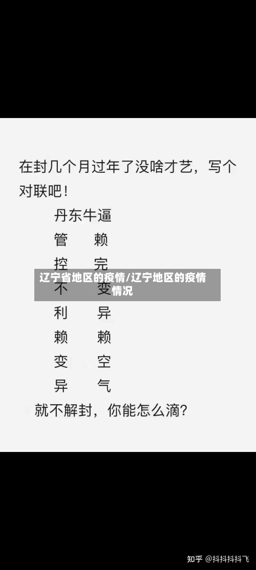 辽宁省地区的疫情/辽宁地区的疫情情况-第3张图片