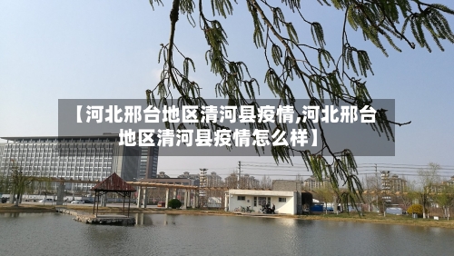 【河北邢台地区清河县疫情,河北邢台地区清河县疫情怎么样】