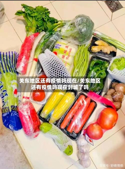 关东地区还有疫情吗现在/关东地区还有疫情吗现在封城了吗-第3张图片