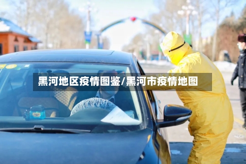 黑河地区疫情图鉴/黑河市疫情地图-第3张图片