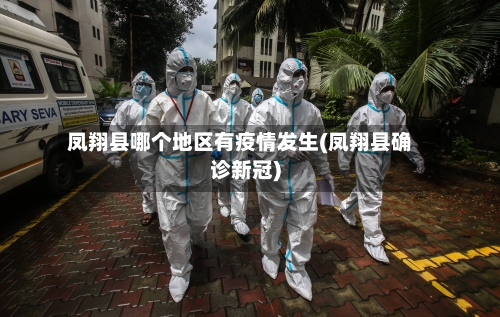 凤翔县哪个地区有疫情发生(凤翔县确诊新冠)