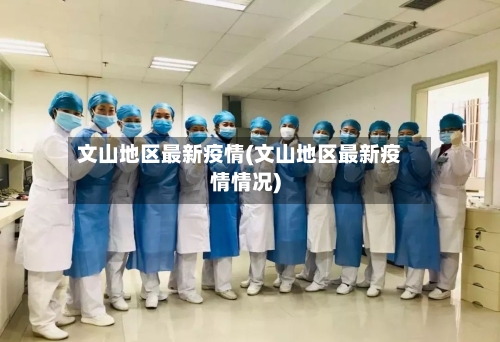 文山地区最新疫情(文山地区最新疫情情况)