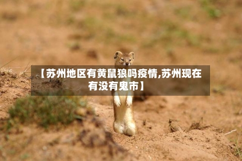 【苏州地区有黄鼠狼吗疫情,苏州现在有没有鬼市】-第2张图片