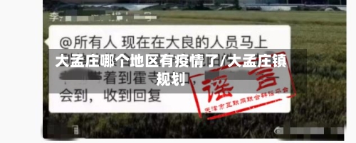 大孟庄哪个地区有疫情了/大孟庄镇规划