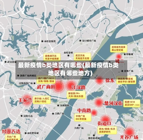 最新疫情b类地区有哪些(最新疫情b类地区有哪些地方)-第2张图片
