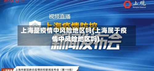 上海是疫情中风险地区吗(上海属于疫情中风险地区吗)-第2张图片