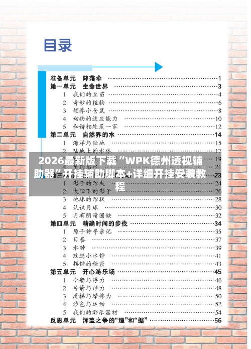 2026最新版下载“WPK德州透视辅助器”开挂辅助脚本+详细开挂安装教程-第2张图片