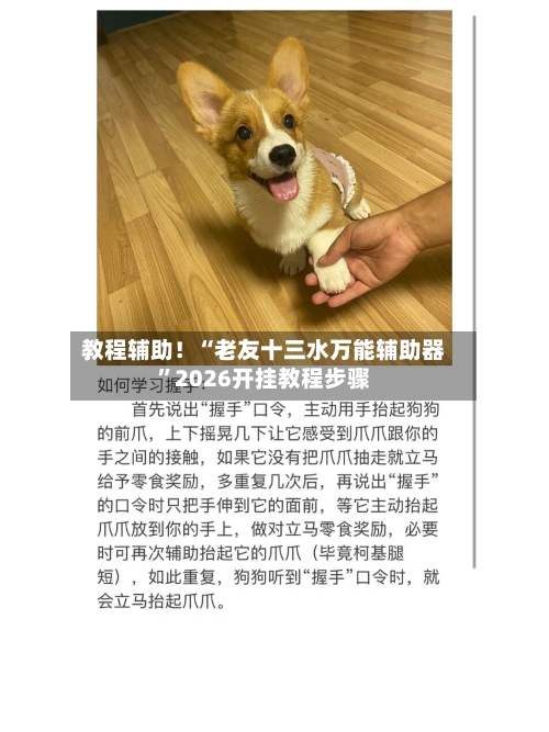 教程辅助！“老友十三水万能辅助器”2026开挂教程步骤-第2张图片