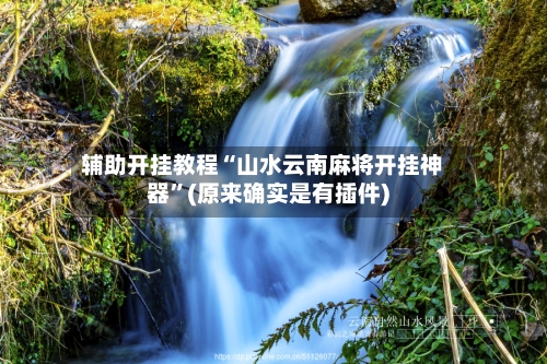 辅助开挂教程“山水云南麻将开挂神器”(原来确实是有插件)