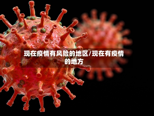 现在疫情有风险的地区/现在有疫情的地方