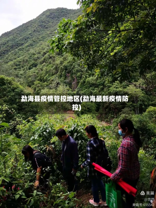 勐海县疫情管控地区(勐海最新疫情防控)-第2张图片
