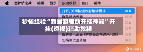 秒懂经验“新星游辅助开挂神器”开挂(透视)辅助教程-第3张图片