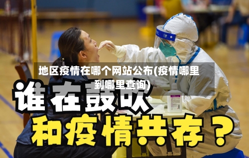 地区疫情在哪个网站公布(疫情哪里到哪里查询)-第3张图片