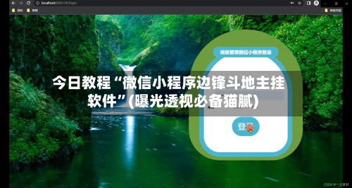 今日教程“微信小程序边锋斗地主挂软件”(曝光透视必备猫腻)-第2张图片