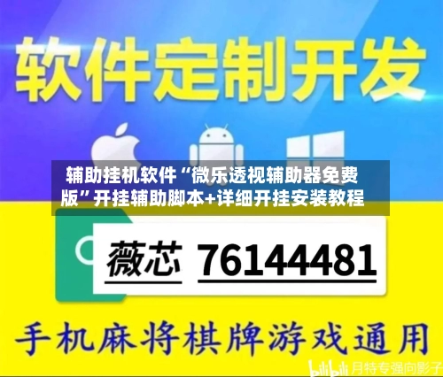 辅助挂机软件“微乐透视辅助器免费版”开挂辅助脚本+详细开挂安装教程-第2张图片