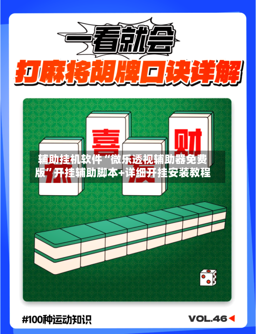 辅助挂机软件“微乐透视辅助器免费版”开挂辅助脚本+详细开挂安装教程-第3张图片