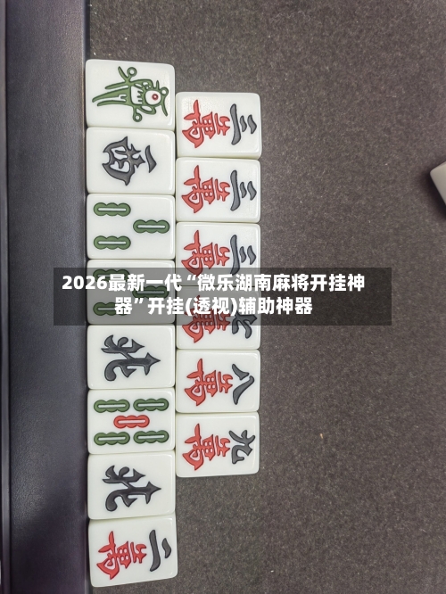 2026最新一代“微乐湖南麻将开挂神器”开挂(透视)辅助神器-第2张图片