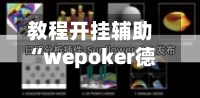 教程开挂辅助“wepoker德州 一键透视购买	”开挂(透视)辅助教程-第2张图片