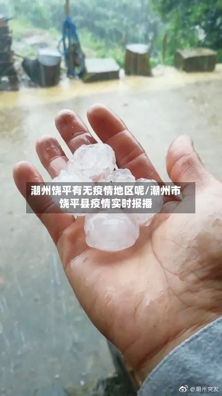 潮州饶平有无疫情地区呢/潮州市饶平县疫情实时报播