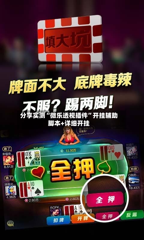 分享实测“微乐透视插件”开挂辅助脚本+详细开挂-第2张图片