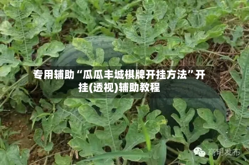 专用辅助“瓜瓜丰城棋牌开挂方法”开挂(透视)辅助教程-第2张图片