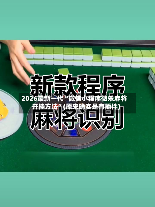 2026最新一代“微信小程序微乐麻将开挂方法	”(原来确实是有插件)-第2张图片