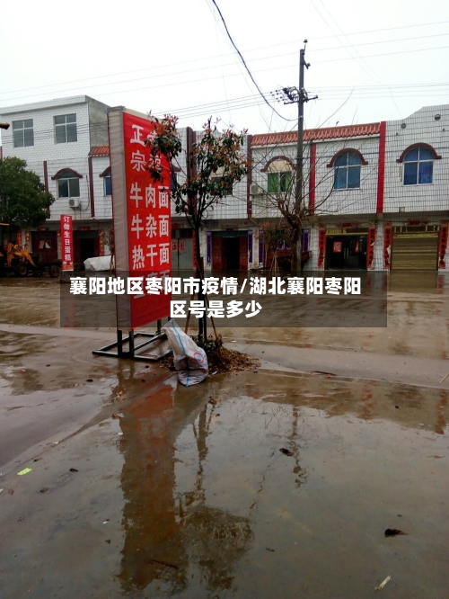 襄阳地区枣阳市疫情/湖北襄阳枣阳区号是多少-第3张图片