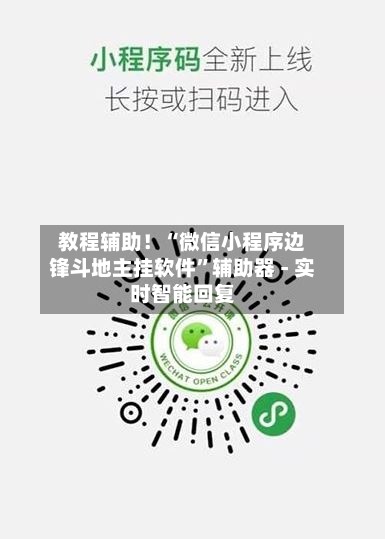 教程辅助！“微信小程序边锋斗地主挂软件”辅助器 - 实时智能回复-第2张图片
